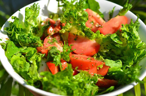 salat-k-myasu