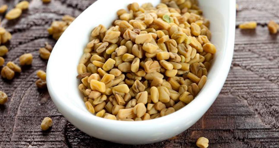 fenugreek1