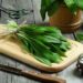 Вкусные рецепты с черемшой
