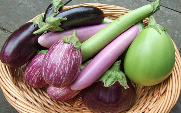 Баклажаны - овощи долголетия. 9 рецептов 