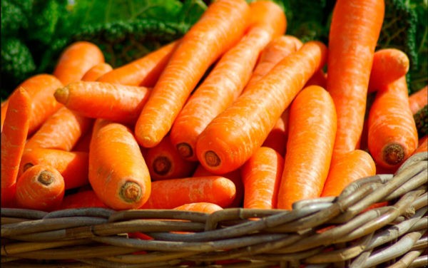 Секреты и уловки заготовок из моркови