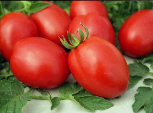 6 способов заготовки помидоров