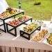 Freshcatering: Качественный кейтеринг на любое мероприятие